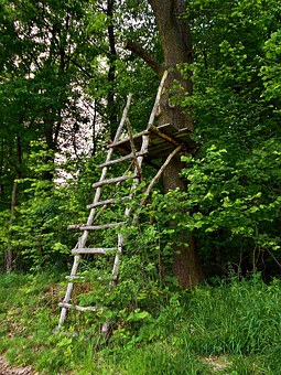 Ladder Stands