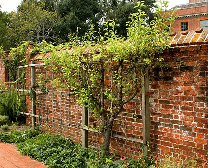 brick wall